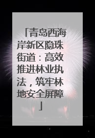 青岛西海岸新区隐珠街道：高效推进林业执法，筑牢林地安全屏障
