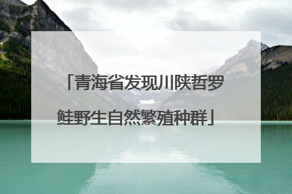 青海省发现川陕哲罗鲑野生自然繁殖种群