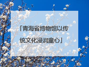 青海省博物馆以传统文化浸润童心