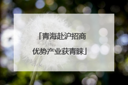 青海赴沪招商 优势产业获青睐