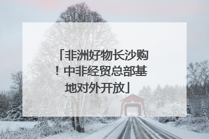 非洲好物长沙购！中非经贸总部基地对外开放