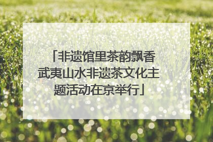 非遗馆里茶韵飘香 武夷山水非遗茶文化主题活动在京举行