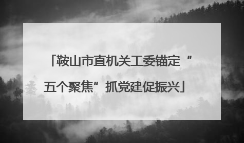 鞍山市直机关工委锚定“五个聚焦”抓党建促振兴