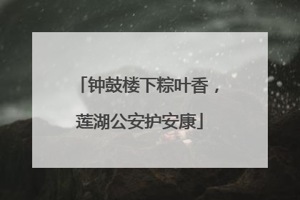 钟鼓楼下粽叶香，莲湖公安护安康