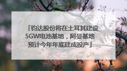 钧达股份将在土耳其建设5GW电池基地，阿曼基地预计今年年底建成投产