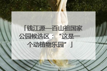 钱江源—百山祖国家公园候选区：“这是一个动植物乐园”
