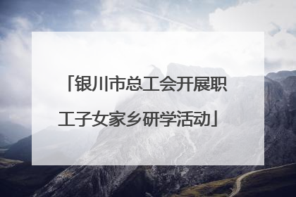 银川市总工会开展职工子女家乡研学活动