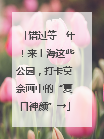 错过等一年！来上海这些公园，打卡莫奈画中的“夏日神颜”→