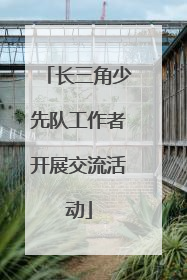 长三角少先队工作者开展交流活动