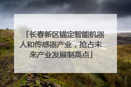 长春新区锚定智能机器人和传感器产业，抢占未来产业发展制高点
