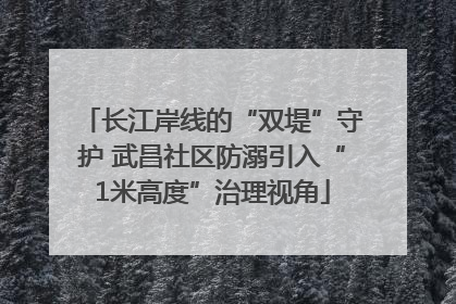 长江岸线的“双堤”守护 武昌社区防溺引入“1米高度”治理视角