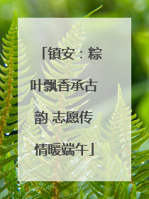 镇安：粽叶飘香承古韵 志愿传情暖端午