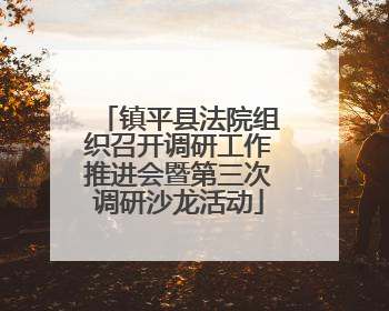 镇平县法院组织召开调研工作推进会暨第三次调研沙龙活动