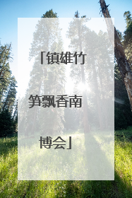 镇雄竹笋飘香南博会