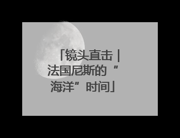 镜头直击｜法国尼斯的“海洋”时间