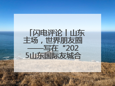 闪电评论丨山东主场，世界朋友圈——写在“2025山东国际友城合作交流周”之际
