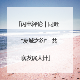 闪电评论｜同赴“友城之约” 共襄发展大计
