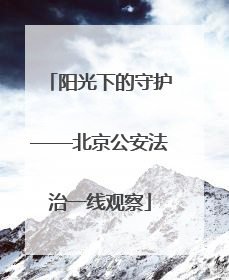 阳光下的守护——北京公安法治一线观察