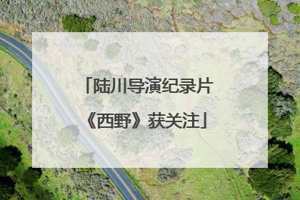 陆川导演纪录片《西野》获关注