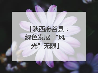 陕西府谷县：绿色发展 “风光”无限