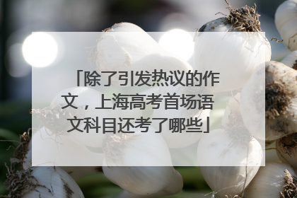 除了引发热议的作文，上海高考首场语文科目还考了哪些