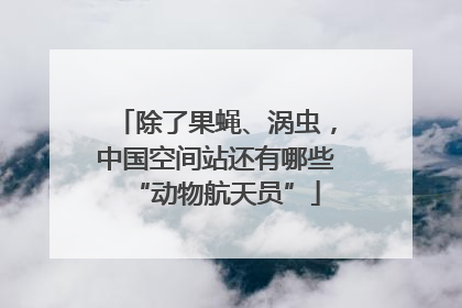 除了果蝇、涡虫，中国空间站还有哪些“动物航天员”