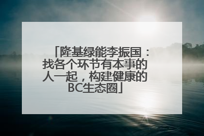 隆基绿能李振国：找各个环节有本事的人一起，构建健康的BC生态圈