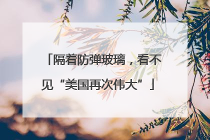 隔着防弹玻璃，看不见“美国再次伟大”