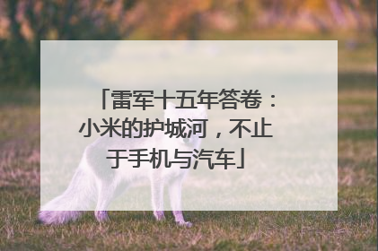 雷军十五年答卷：小米的护城河，不止于手机与汽车