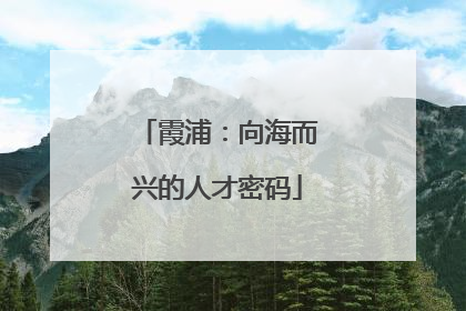 霞浦：向海而兴的人才密码