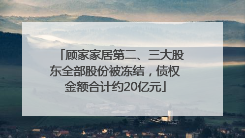 顾家家居第二、三大股东全部股份被冻结，债权金额合计约20亿元