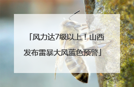 风力达7级以上！山西发布雷暴大风蓝色预警