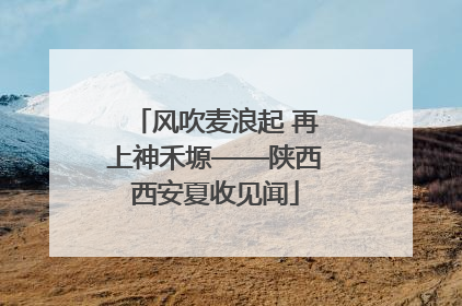 风吹麦浪起 再上神禾塬——陕西西安夏收见闻