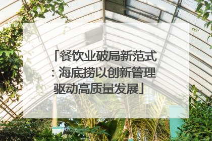 餐饮业破局新范式：海底捞以创新管理驱动高质量发展