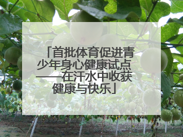首批体育促进青少年身心健康试点——在汗水中收获健康与快乐