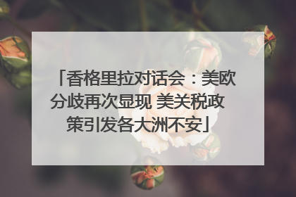 香格里拉对话会：美欧分歧再次显现 美关税政策引发各大洲不安