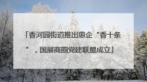 香河园街道推出惠企“香十条”，国展商圈党建联盟成立