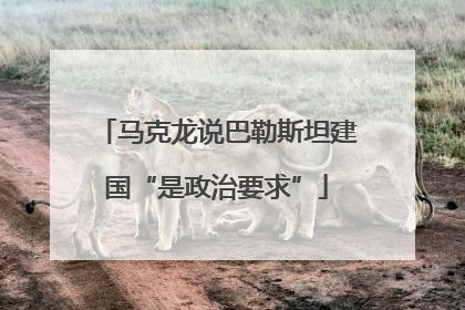 马克龙说巴勒斯坦建国“是政治要求”