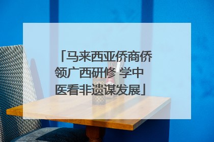 马来西亚侨商侨领广西研修 学中医看非遗谋发展