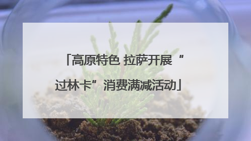 高原特色 拉萨开展“过林卡”消费满减活动