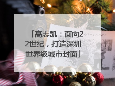 高志凯：面向22世纪，打造深圳世界级城市封面