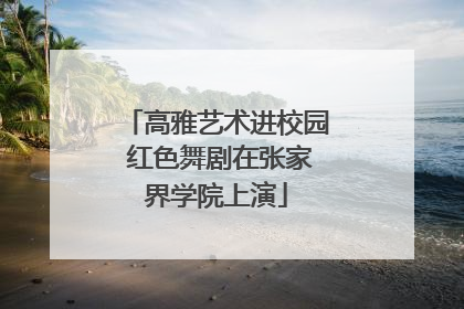 高雅艺术进校园 红色舞剧在张家界学院上演