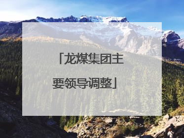 龙煤集团主要领导调整
