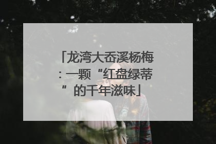 龙湾大岙溪杨梅：一颗“红盘绿蒂”的千年滋味