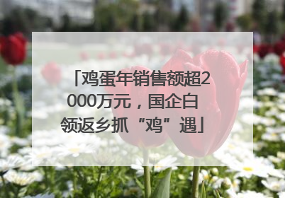 鸡蛋年销售额超2000万元，国企白领返乡抓“鸡”遇