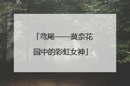 鸢尾——莫奈花园中的彩虹女神
