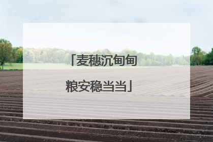 麦穗沉甸甸 粮安稳当当