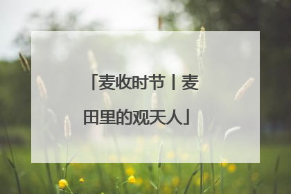 麦收时节丨麦田里的观天人