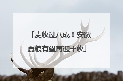 麦收过八成！安徽夏粮有望再迎丰收
