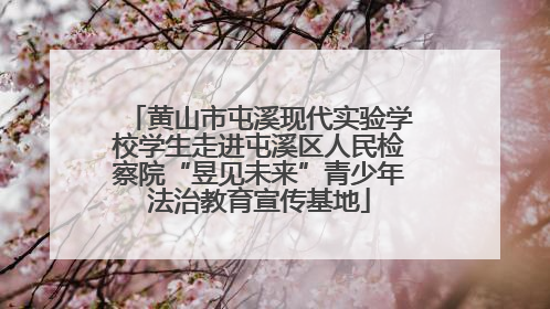 黄山市屯溪现代实验学校学生走进屯溪区人民检察院“昱见未来”青少年法治教育宣传基地